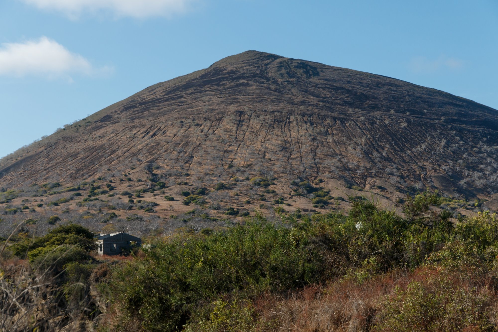 Galapagos_IMG_7034.jpg