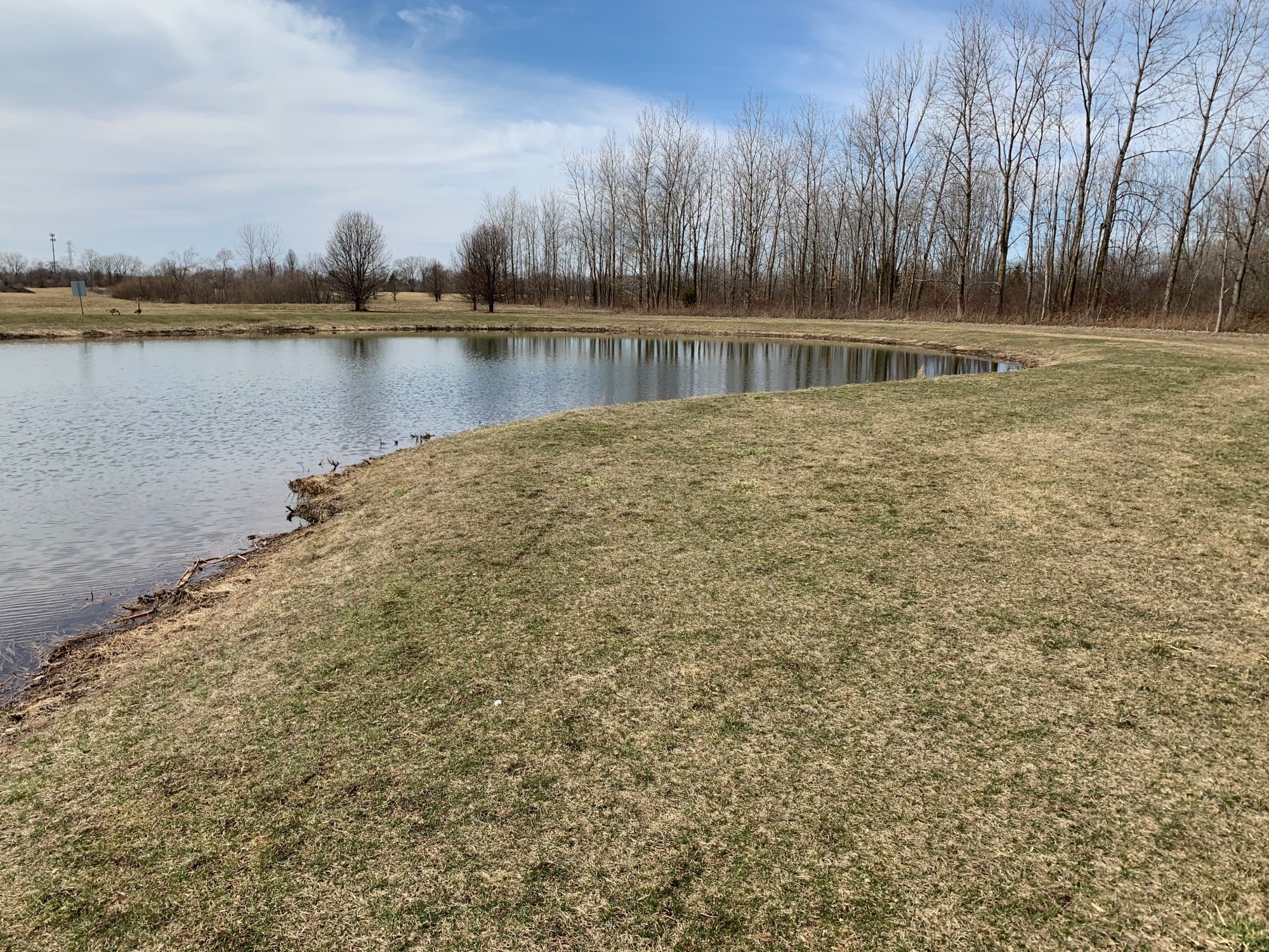 Galloway Road Sports complex - pond and nearby woods.jpeg