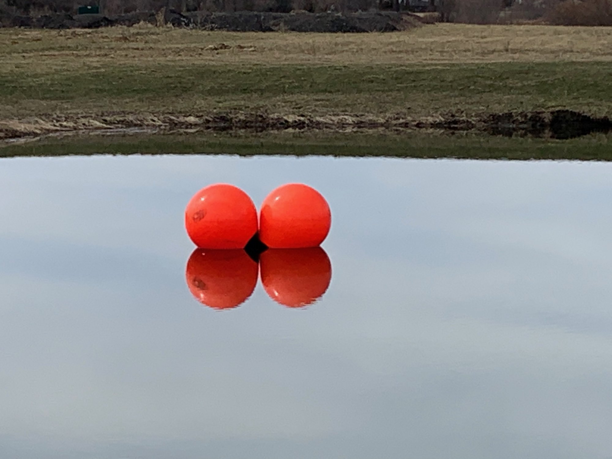 Galloway Road Sports complex - pond with orange balls.jpeg