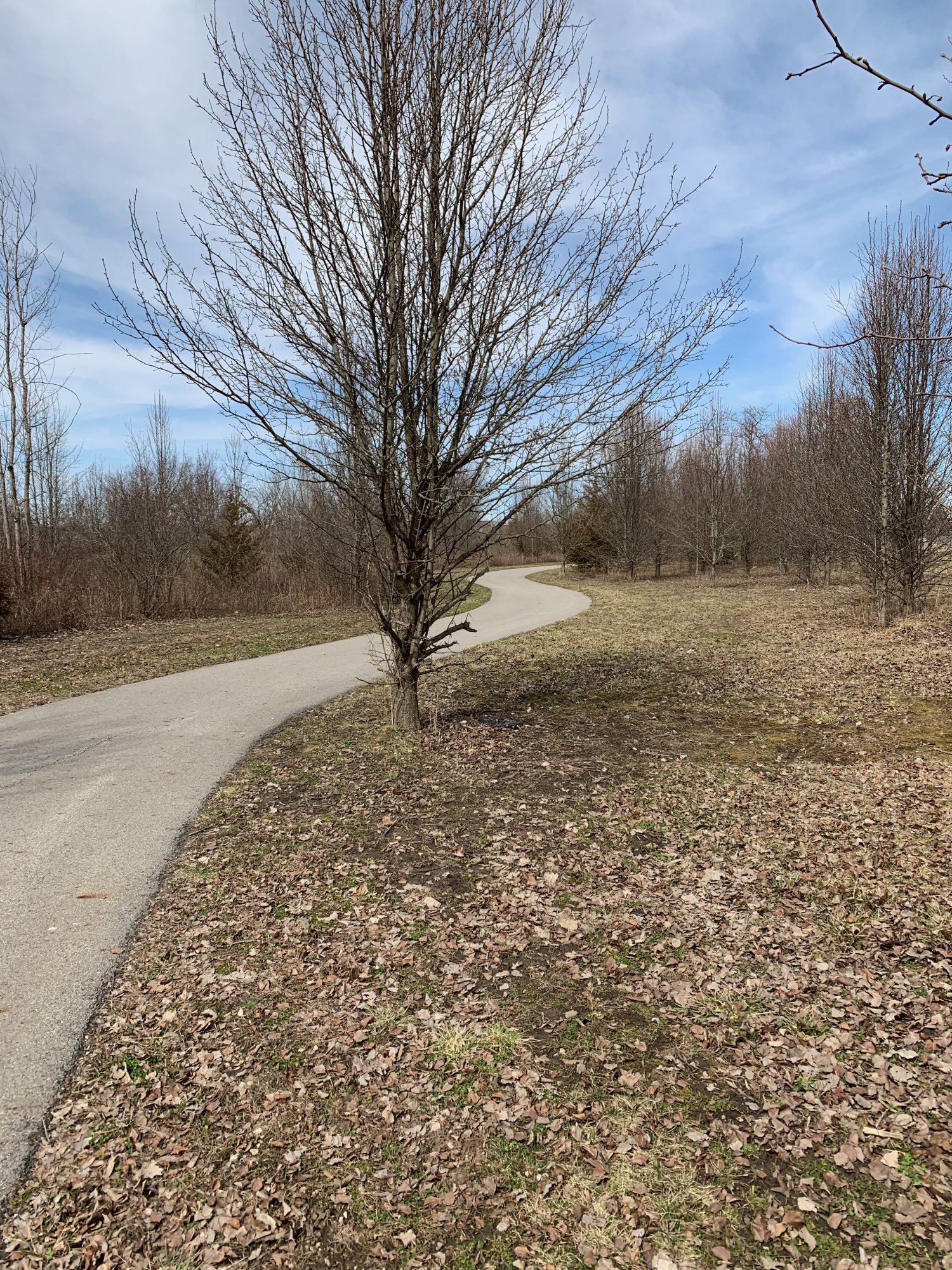 Galloway Road Sports complex - winding trail portrait.jpeg