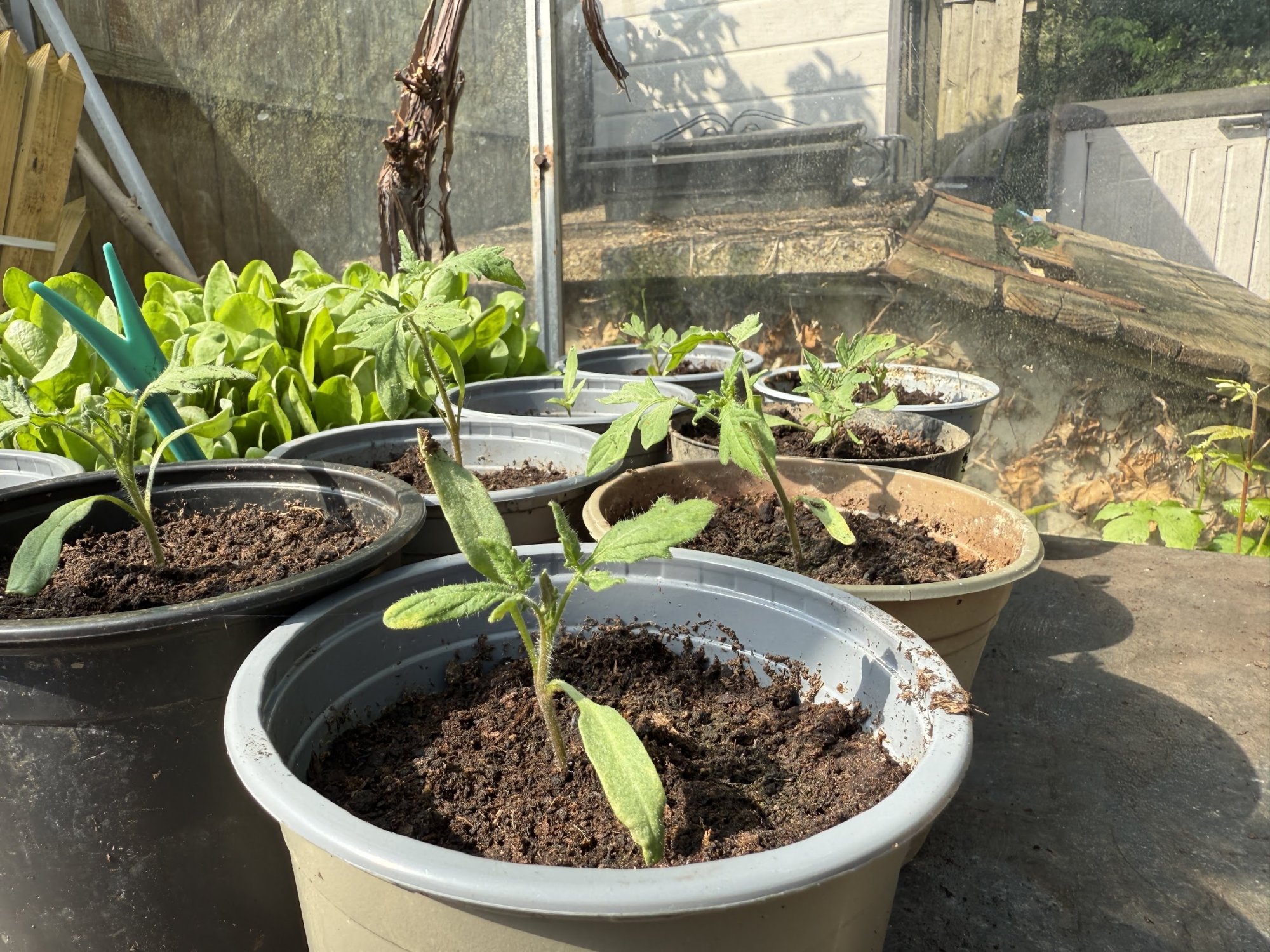 garden8.jpg