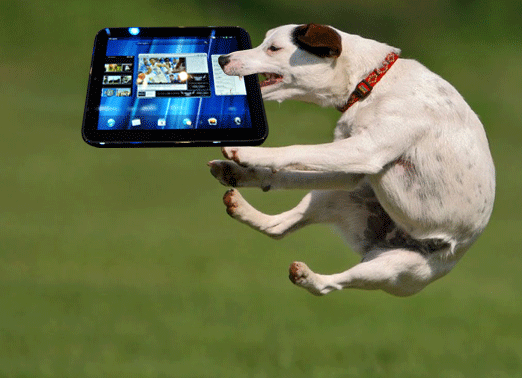 gif-dog-tablet-pc-893691.gif