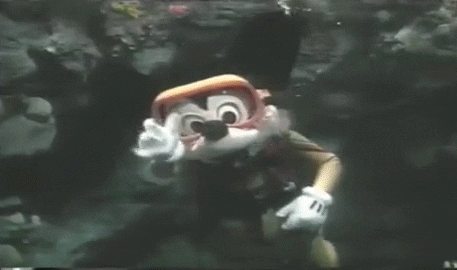 giphy.gif