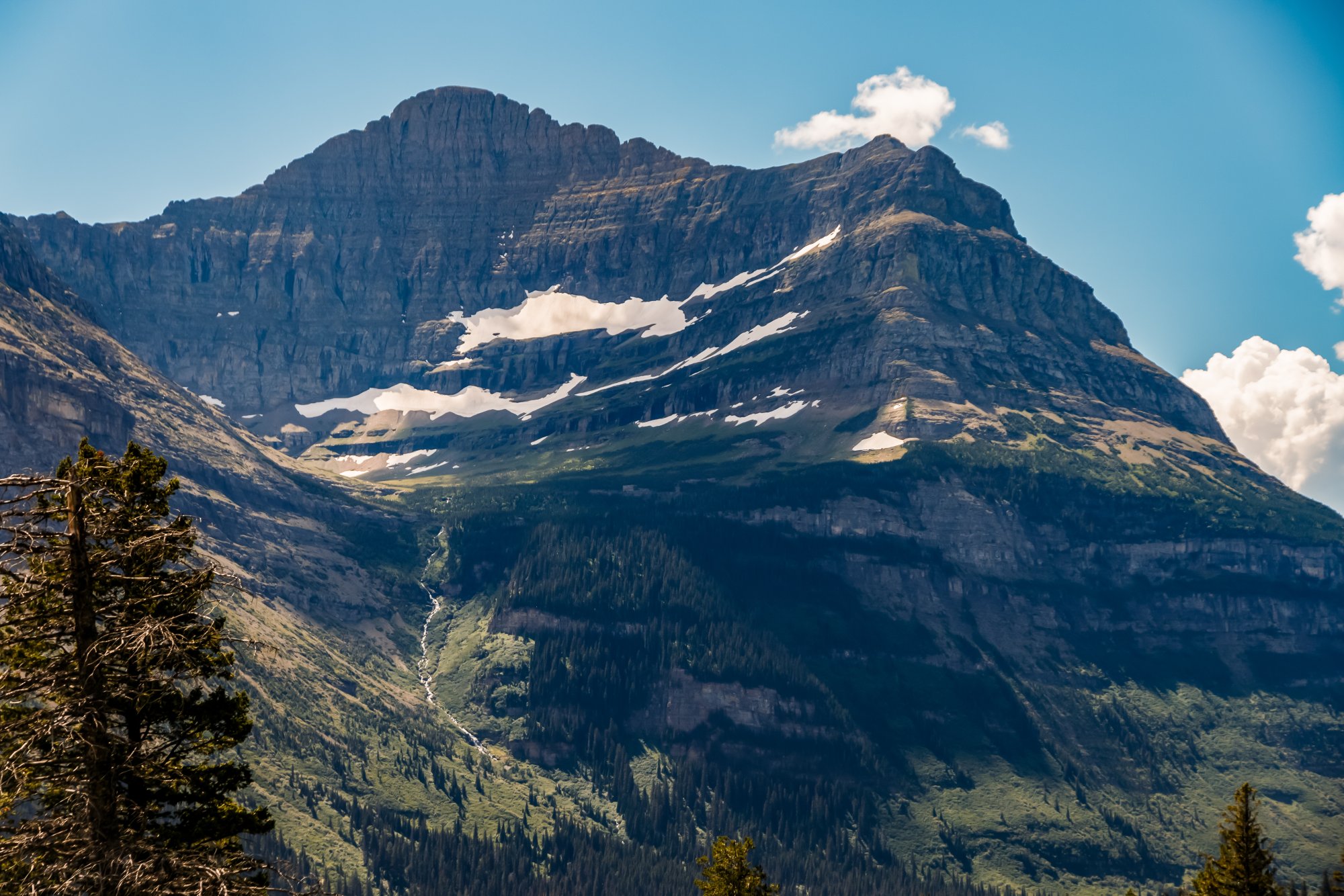 GlacierNP_IMG_7777.jpg