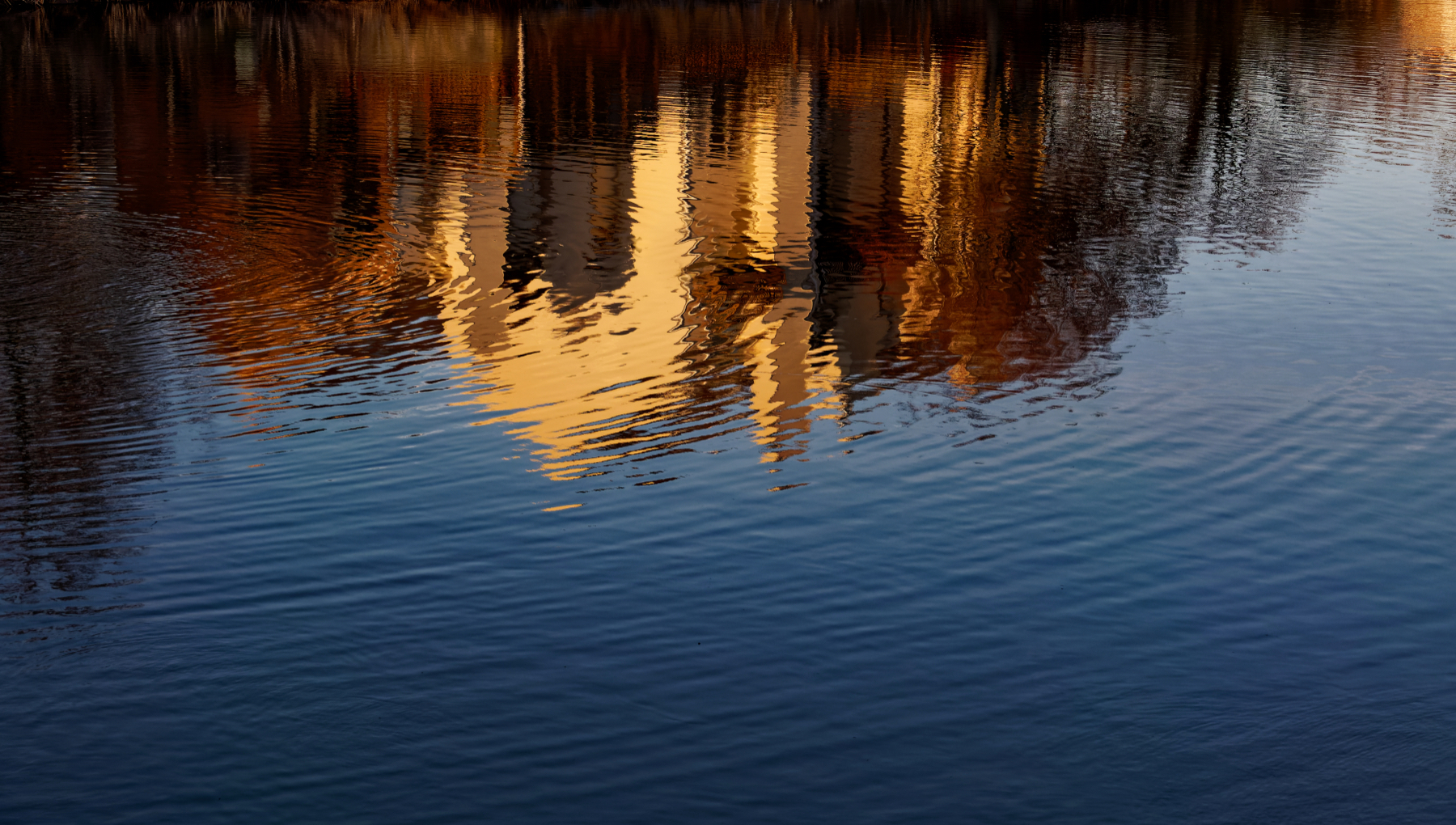 Golden Glow in the Blue Hour.jpeg