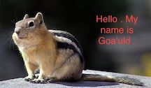 Golden_mantled_ground_squirrel.jpg