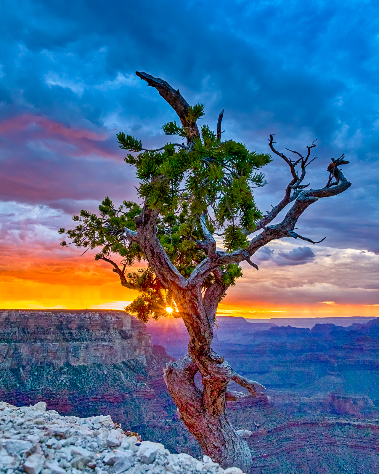 Grand Canyon-1-3.jpg