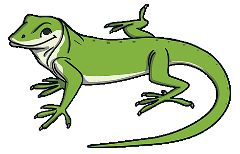 green-anole-lizard_ver_1.png