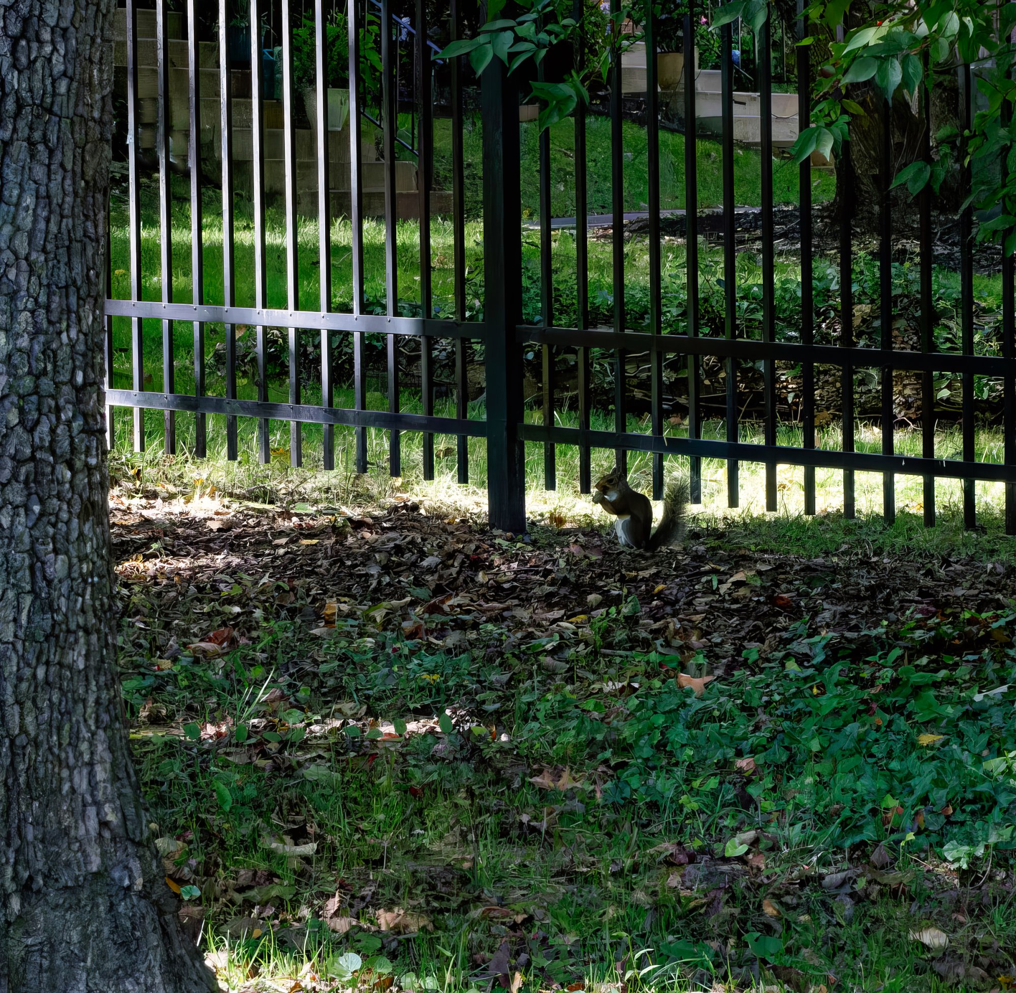 Green Scene on an October Day.jpeg