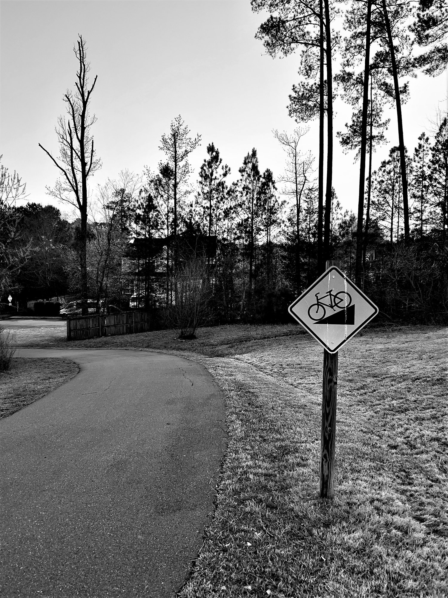 Green Way Bike Sign 3-26-2023.jpg