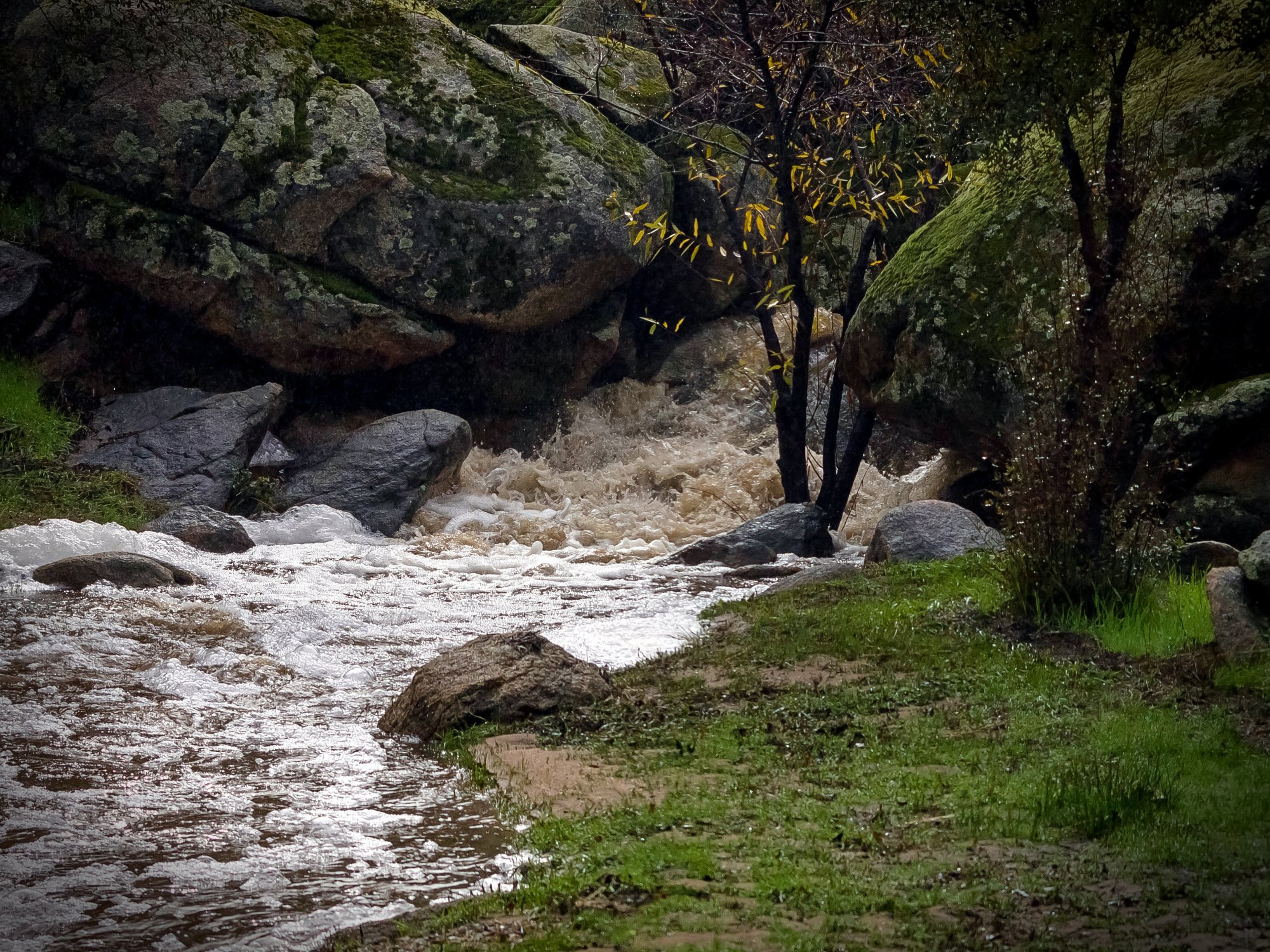 grotto waterfall 3264  01.16.23 xv2.jpg