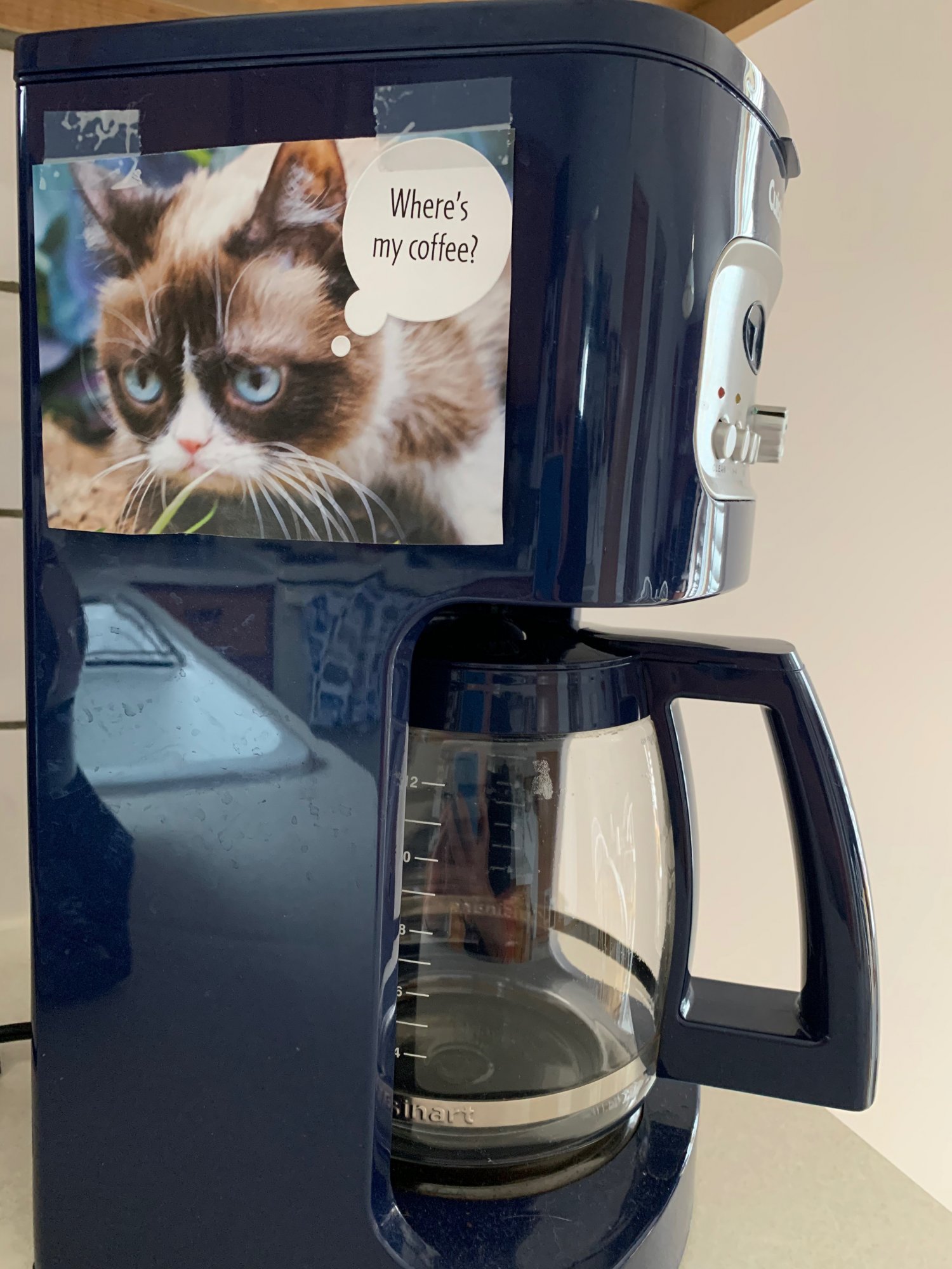 Grumpy Cat coffee maker.jpeg