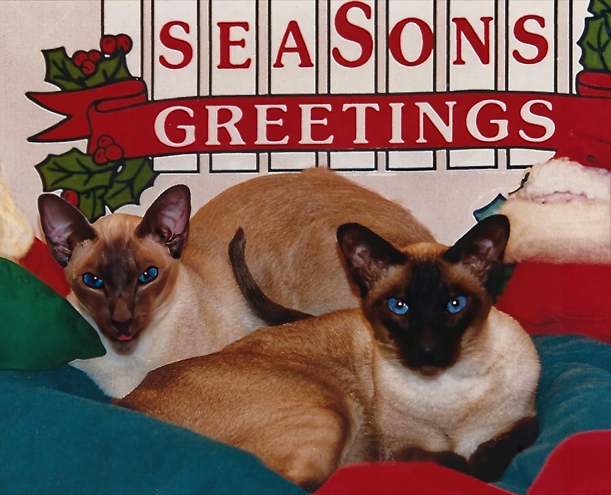 H&T Send Season's Greetings.jpeg