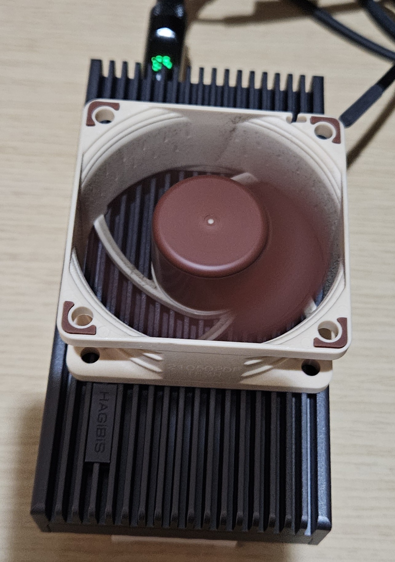 hagibis-noctua.jpg