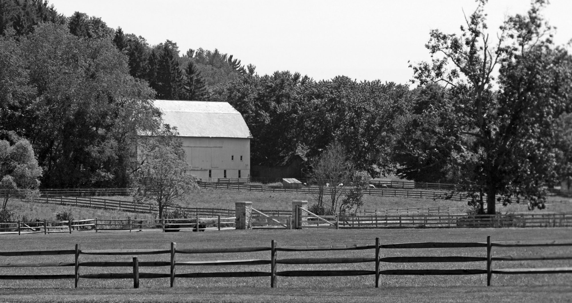 Hale Farms - 019 finished resize.jpg