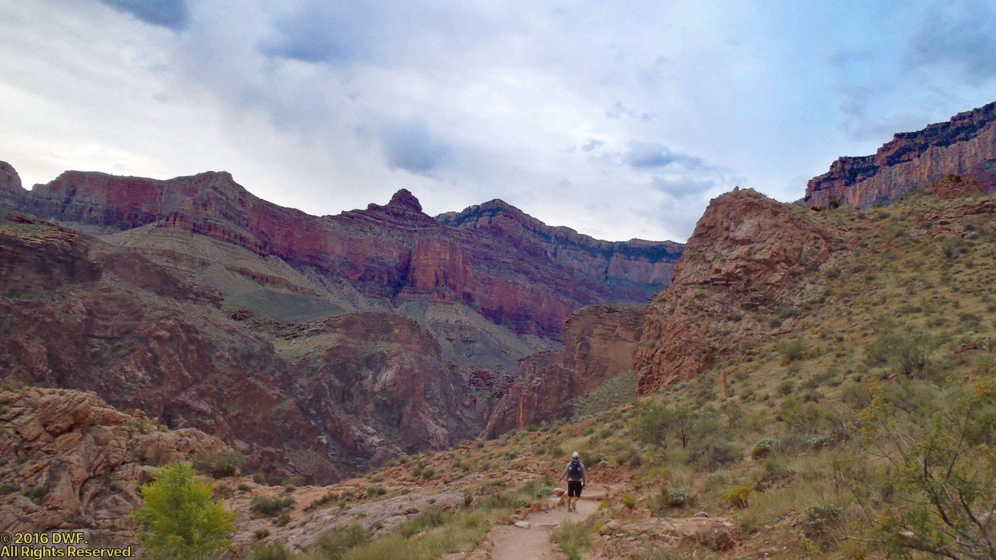 Hiking the Grand Canyon.jpg