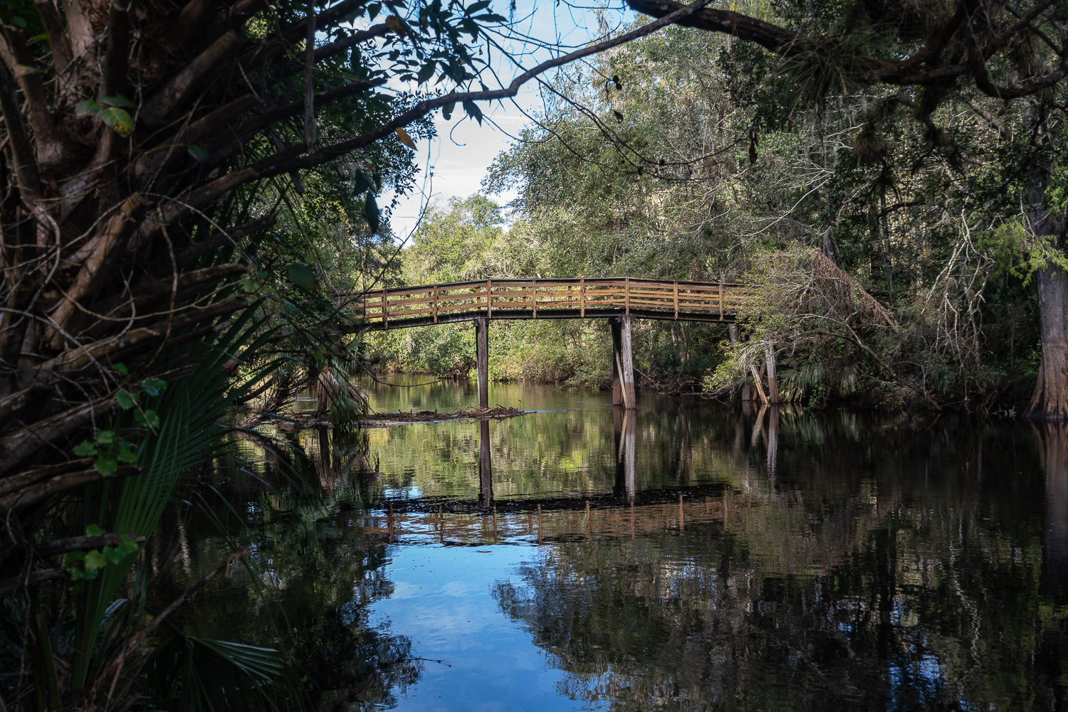 Hillsborough River SP- 1500px-12.JPG