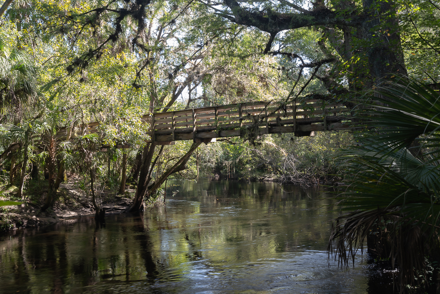 Hillsborough River SP- 1500px-13.JPG