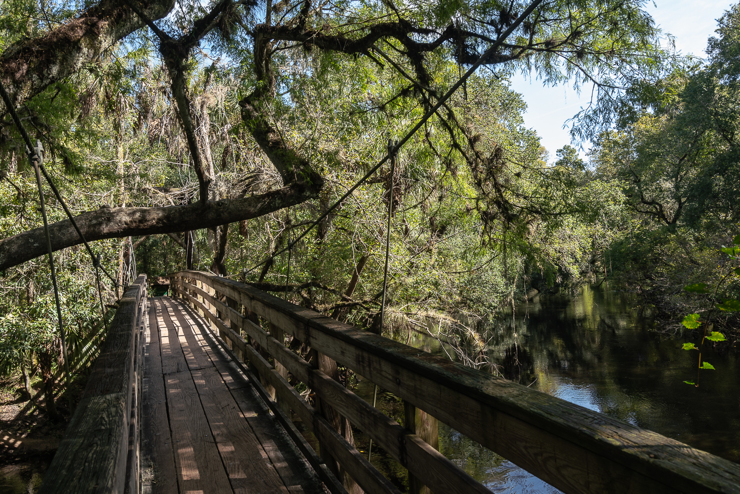 Hillsborough River SP- 1500px-14.JPG