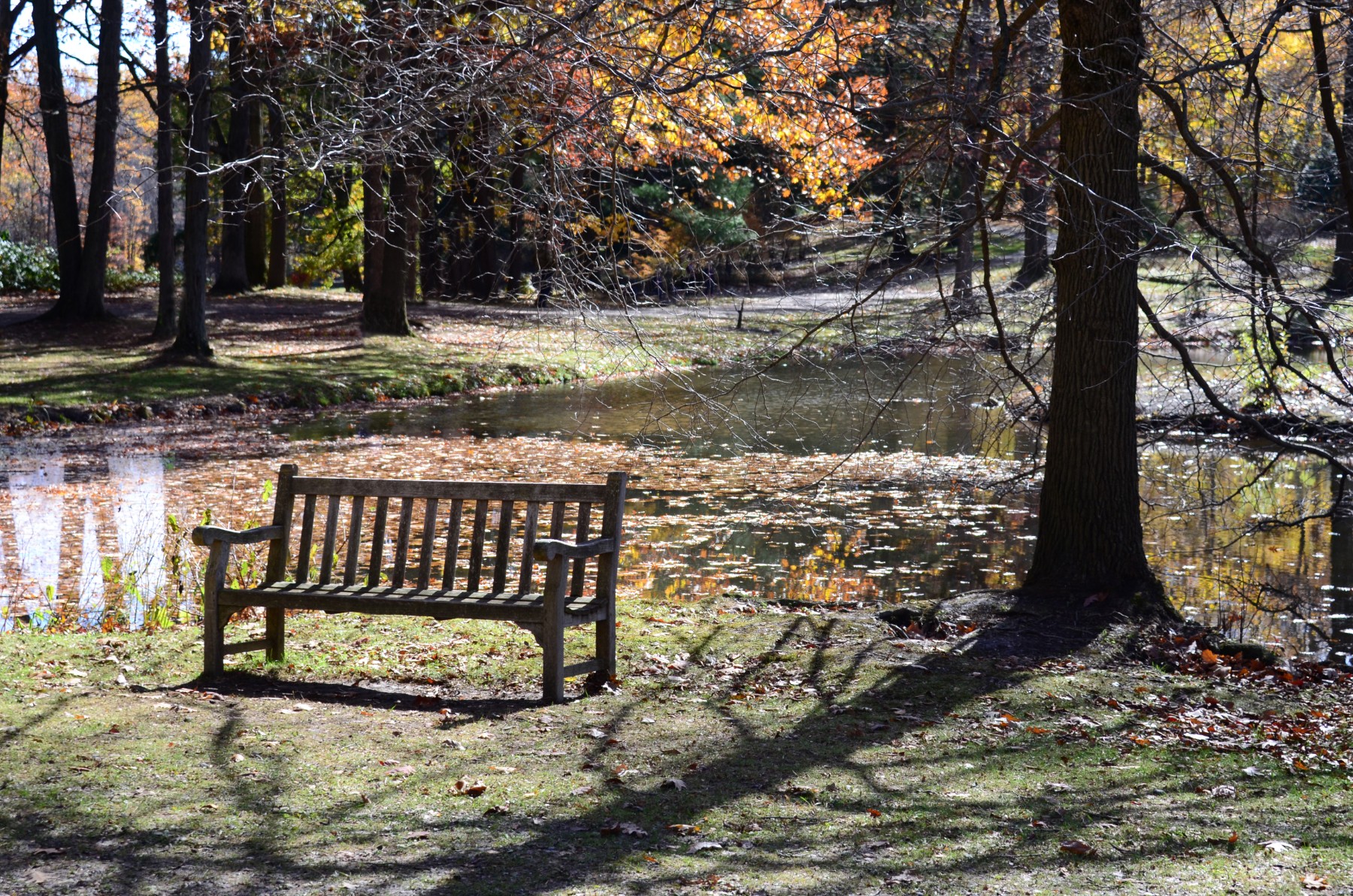 Holden bench-1 resize.jpg