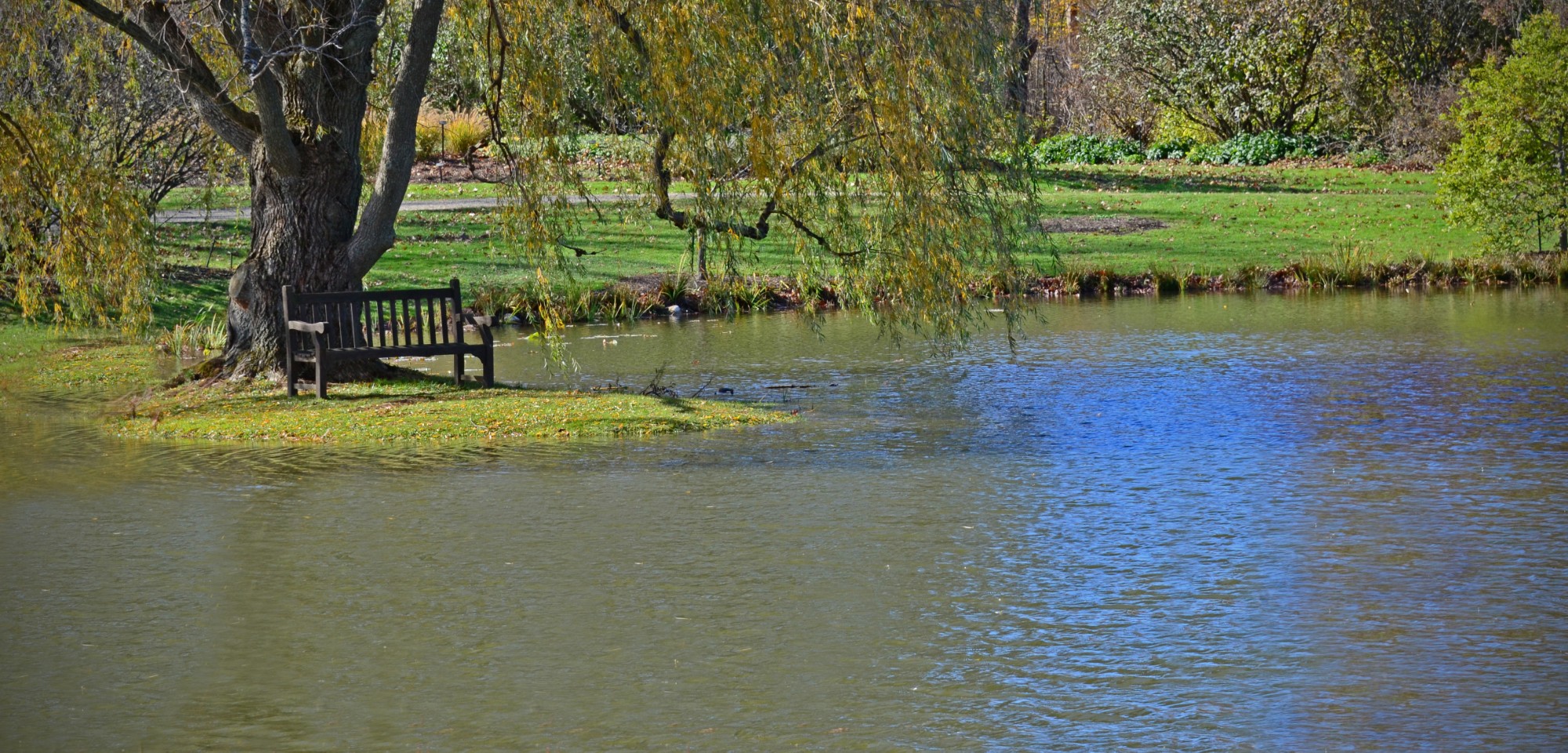 Holden bench-3 resize.jpg