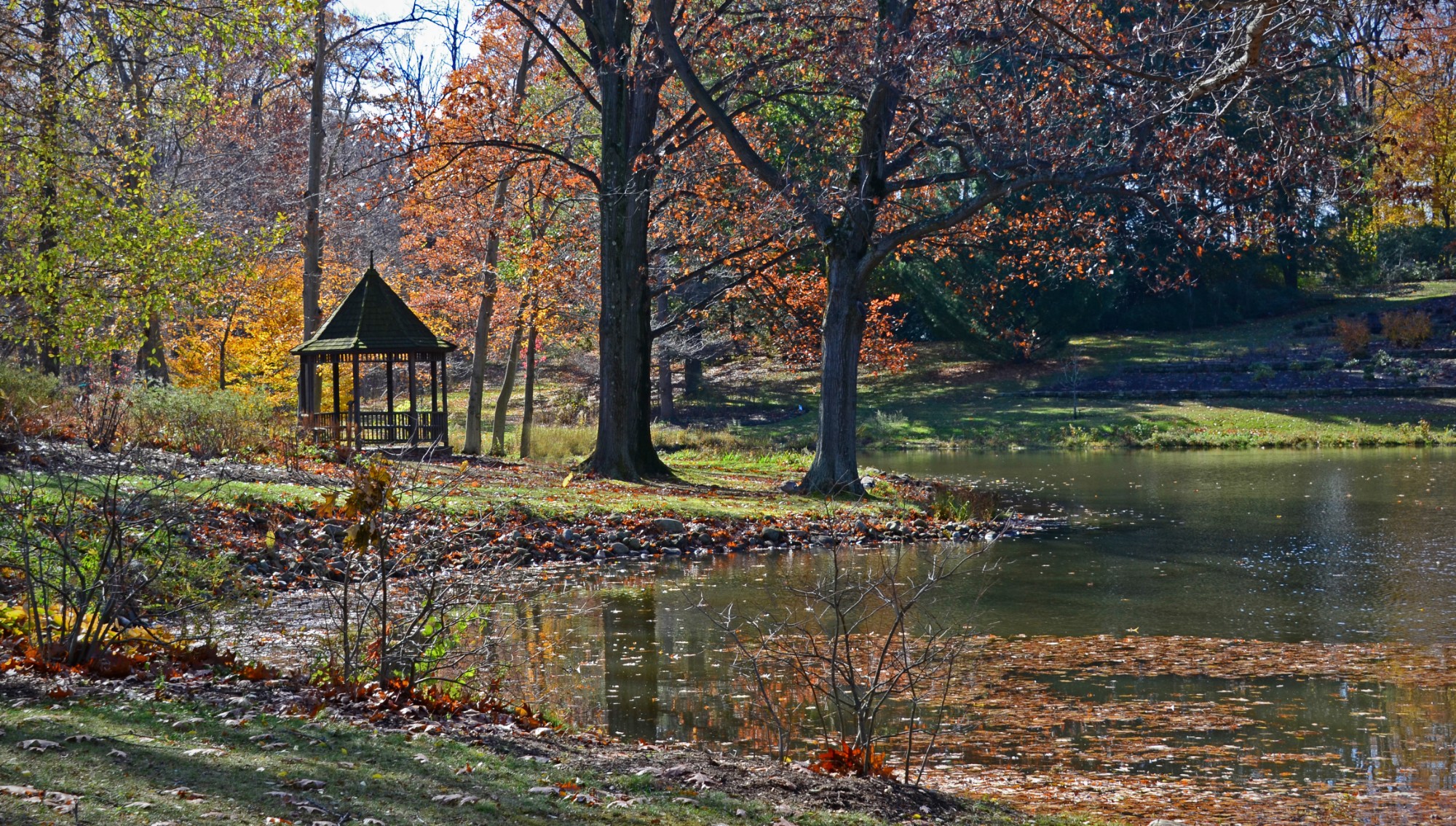 Holden gazebo-1 resize.jpg