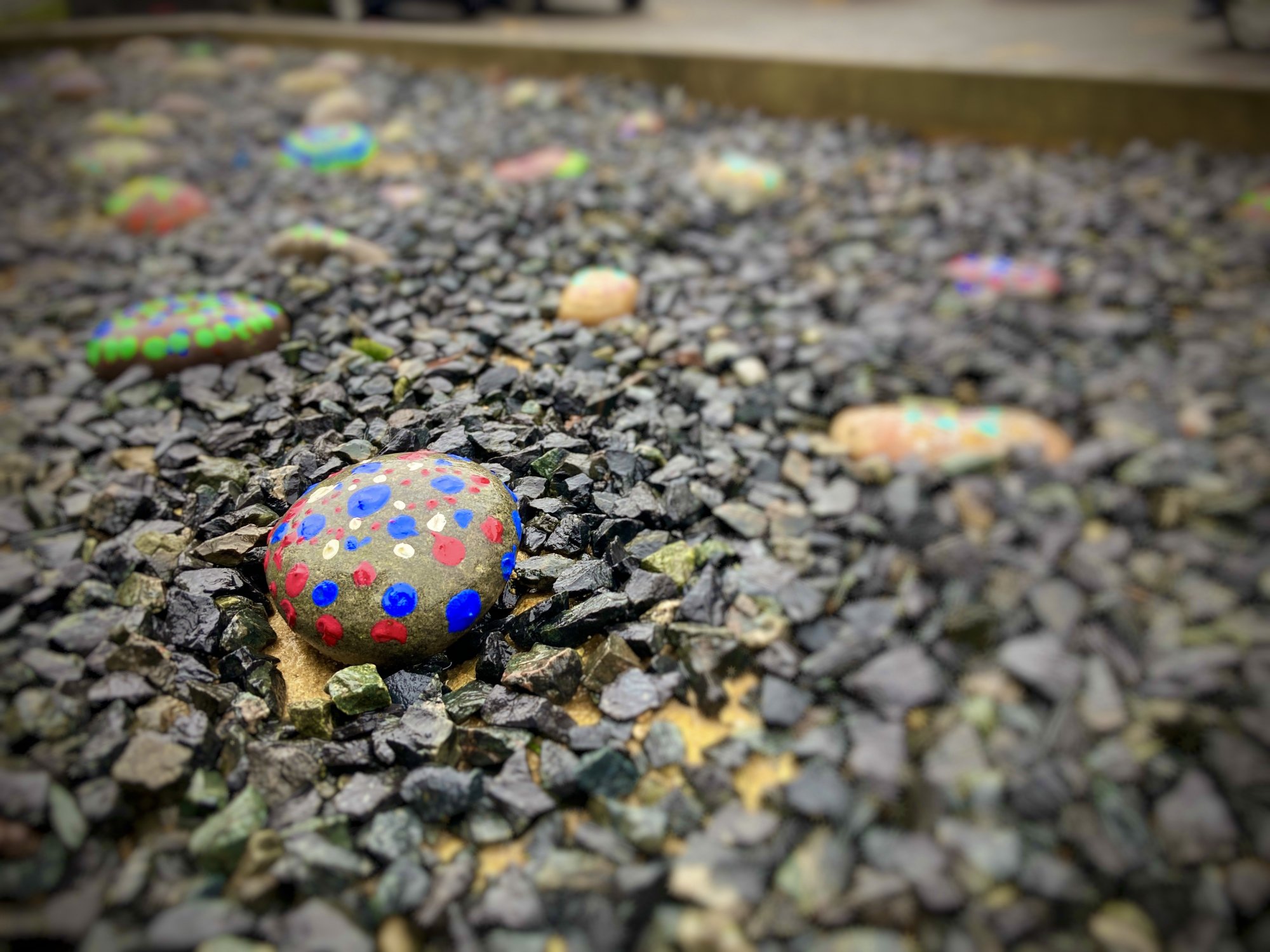 HOLLY'S STONE - 04.02.2021.JPG