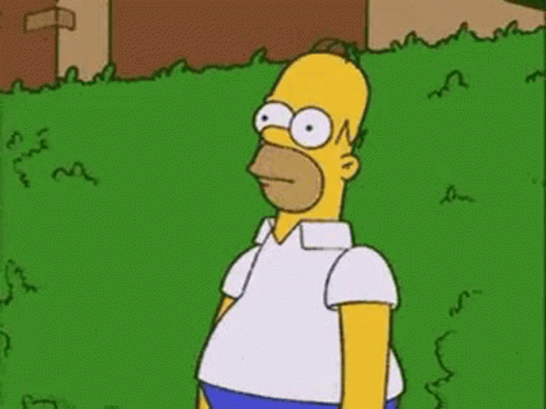 homer-simpson-the-simpsons-2527225729.gif