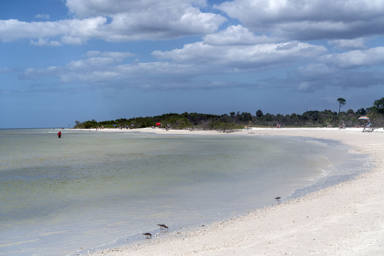 Honeymoon Island-1- 1500px.JPG