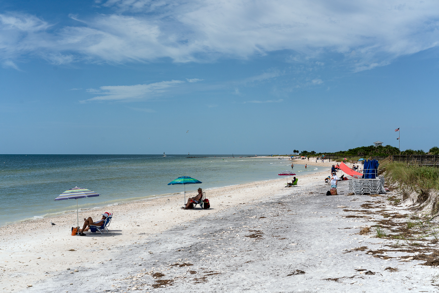 Honeymoon Island-1500px-1.JPG