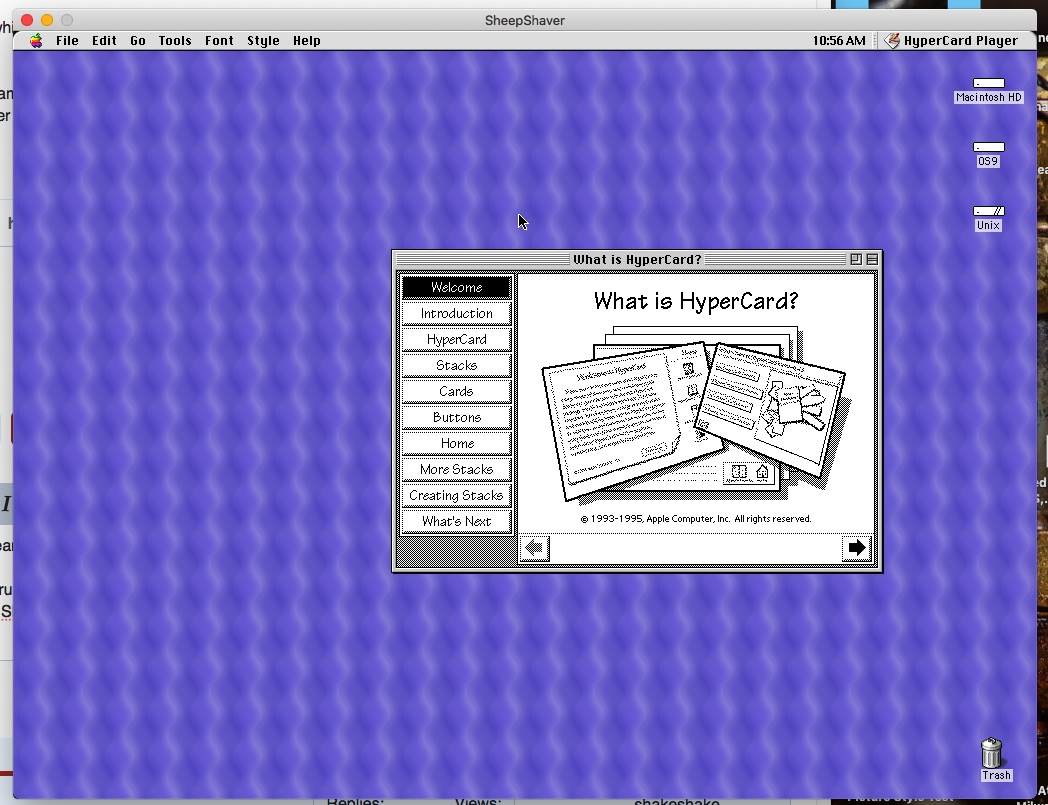 Hypercard in Mojave.jpg