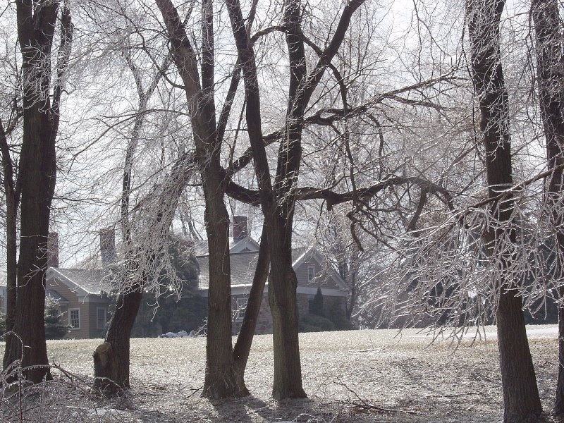 ice storm 08.JPG