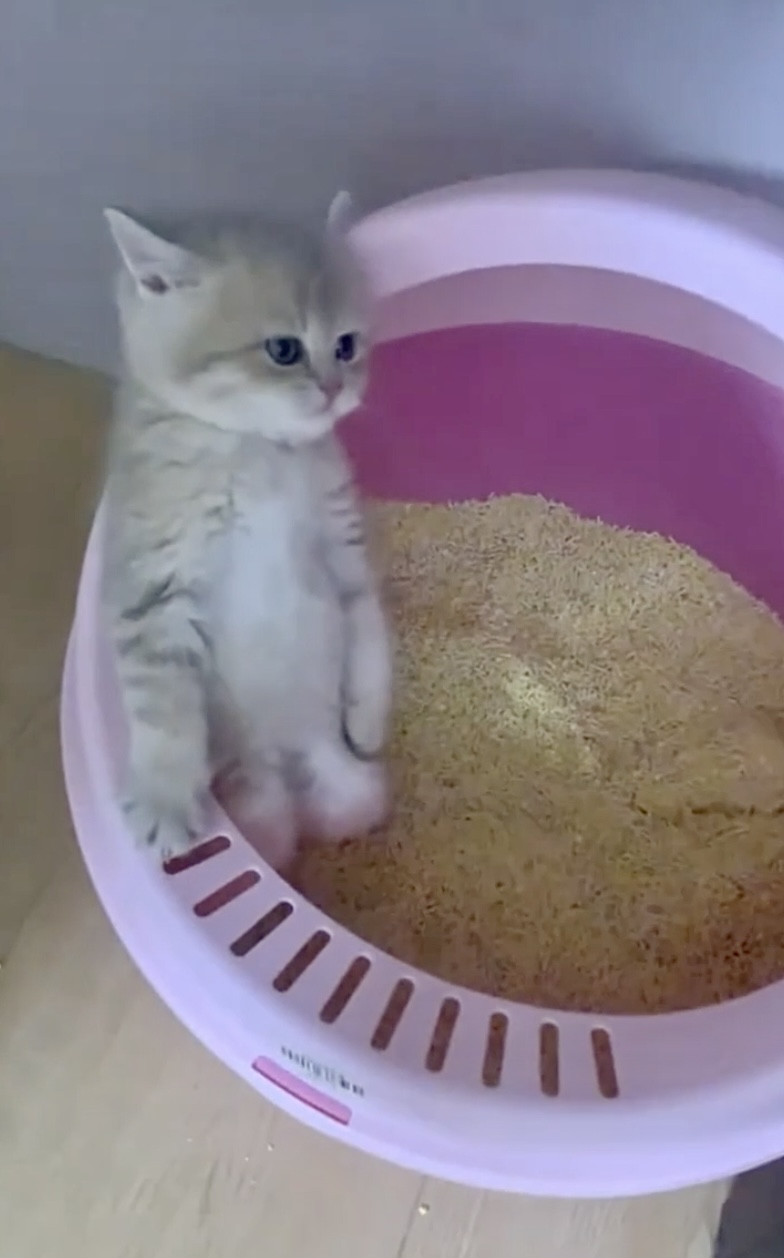 Image 9-18-25 at 4.48 PM.jpg