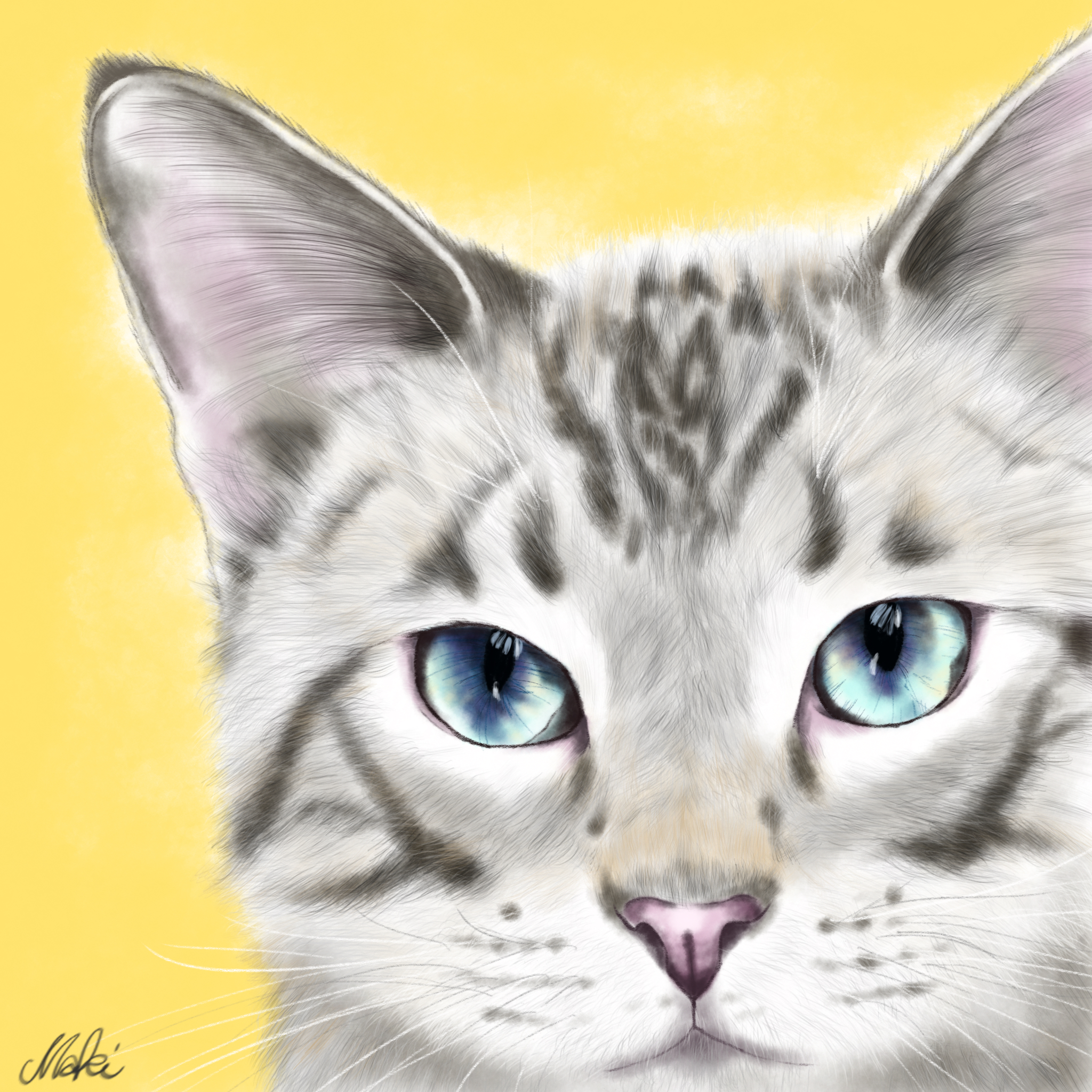 image.jpeg image.jpeg