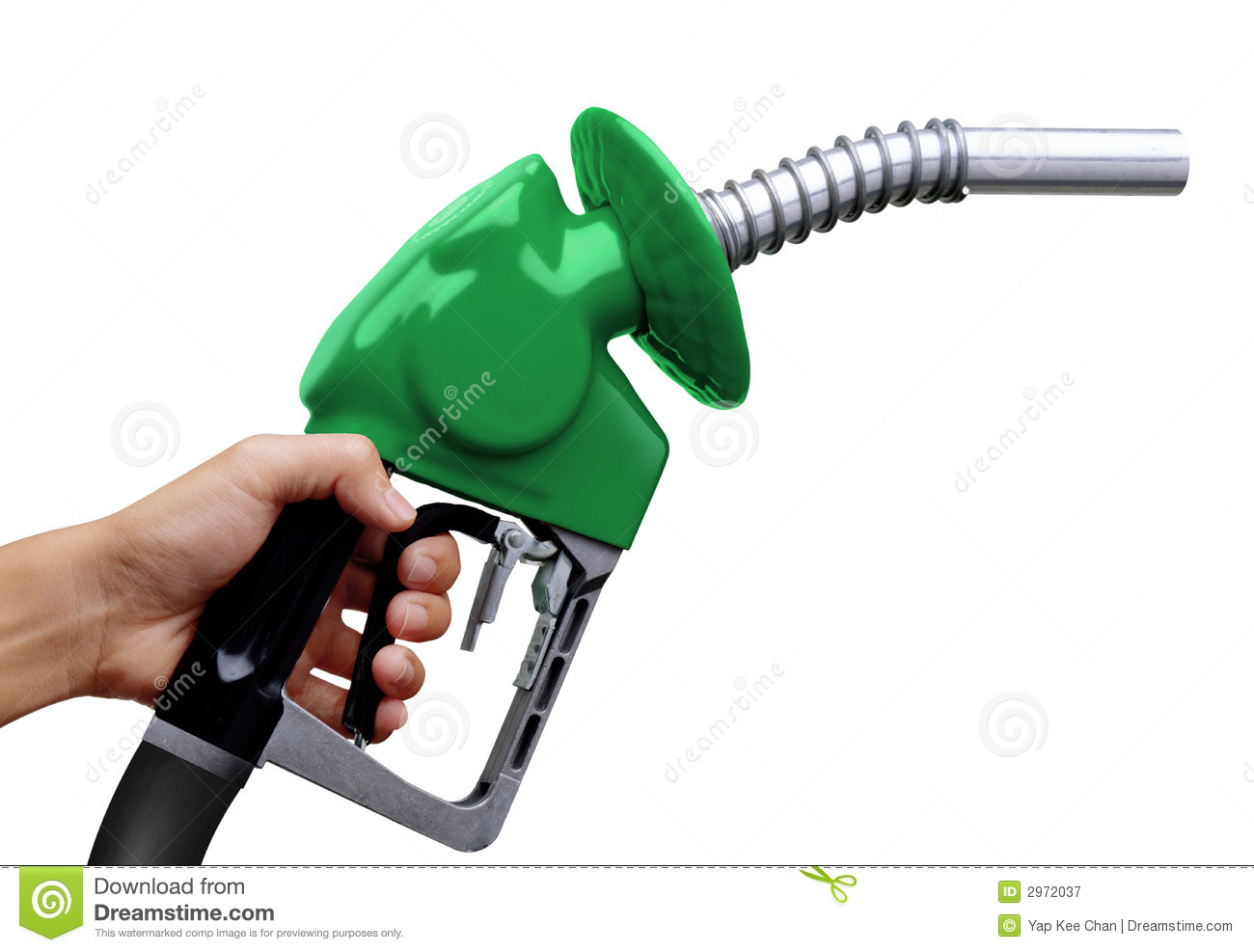 image.jpeg