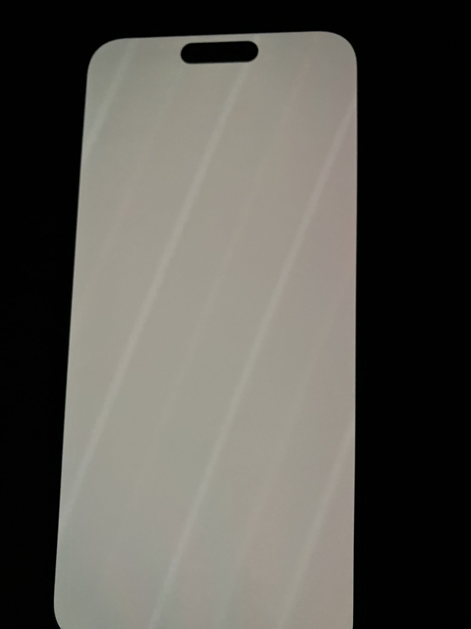 IMG_0009.jpeg