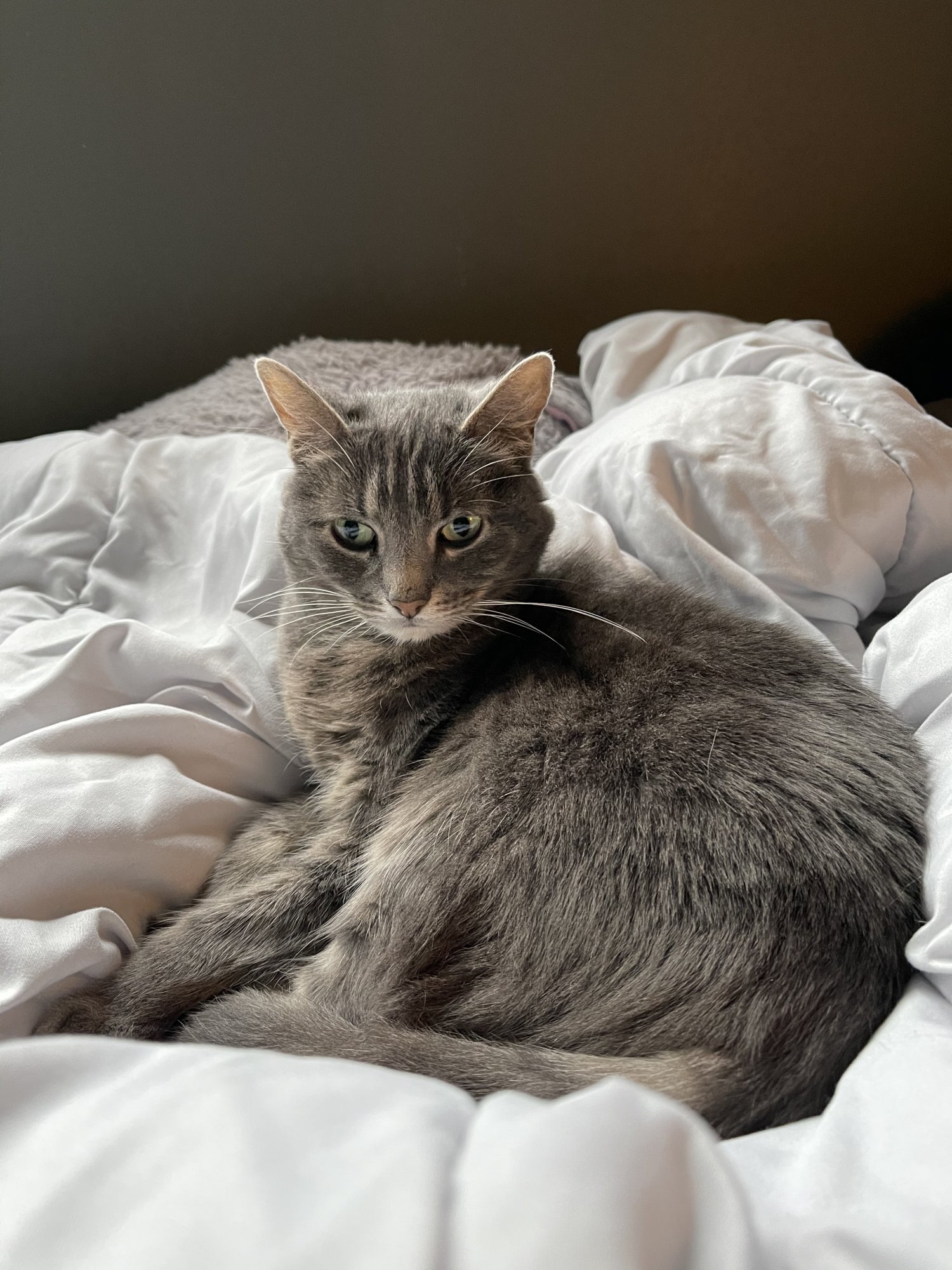 IMG_0065.jpeg