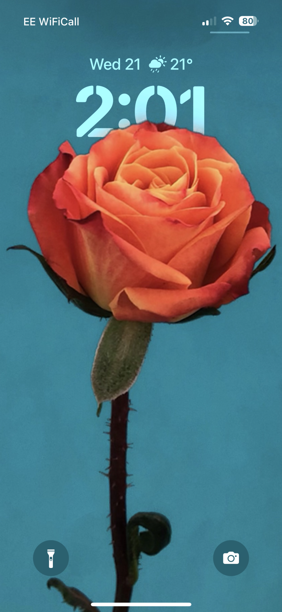 IMG_0072.png