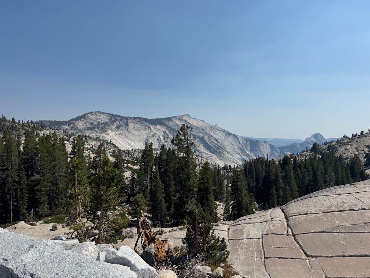 IMG_0211.jpeg