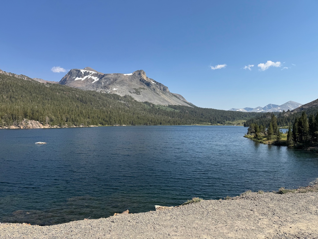 IMG_0218.jpeg