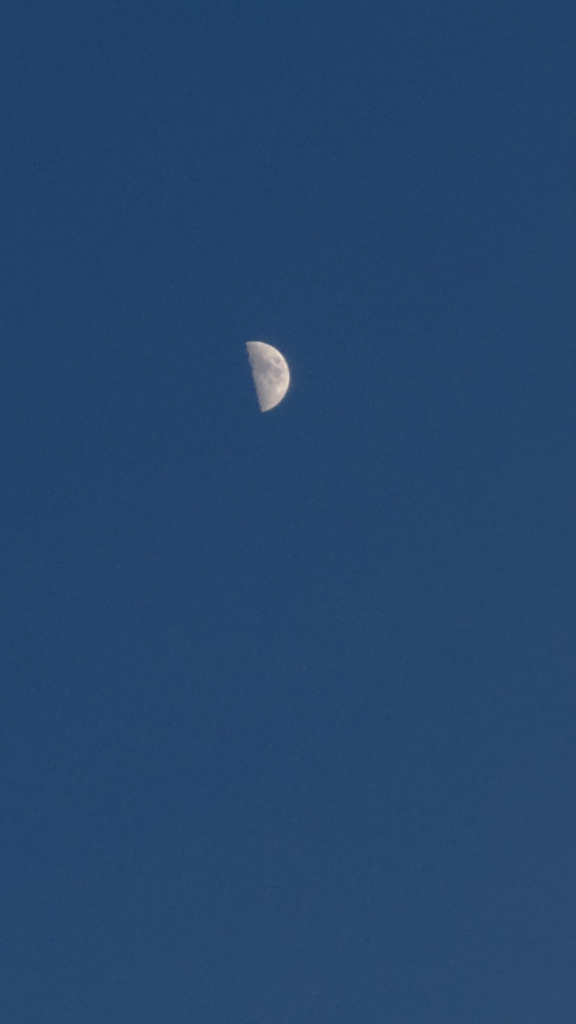 IMG_0228.jpeg