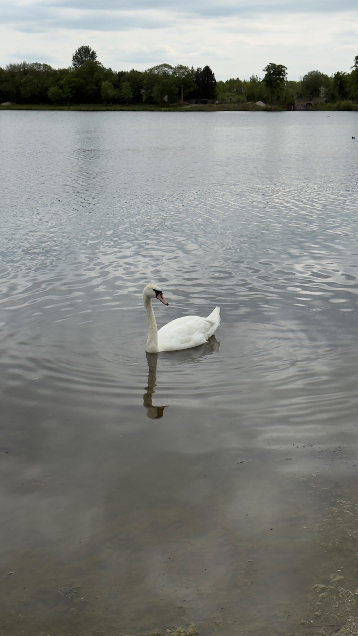 IMG_0270.jpeg