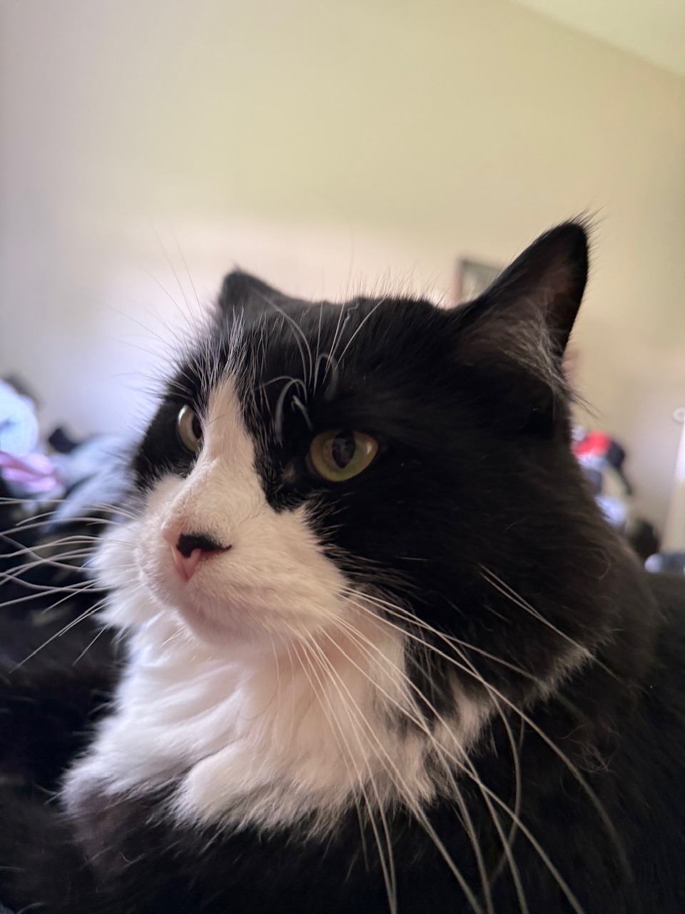 IMG_0397.jpeg