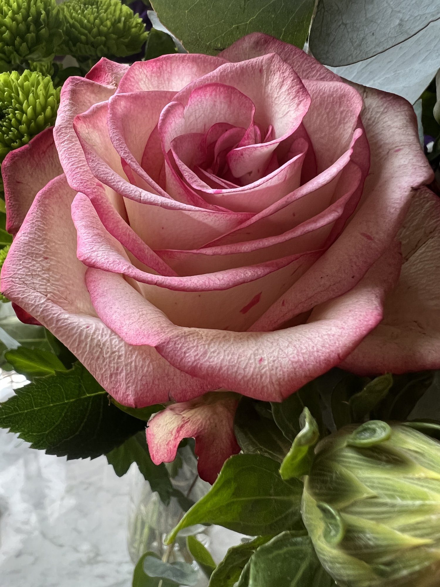 IMG_0410.jpeg