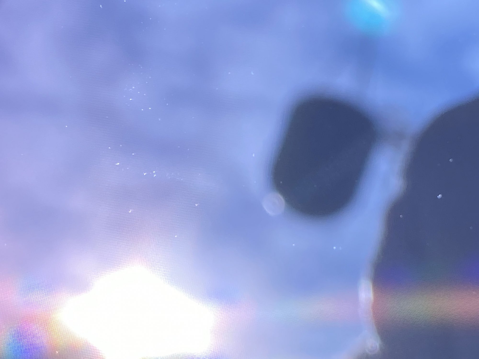 IMG_0459.jpg IMG_0459.jpg