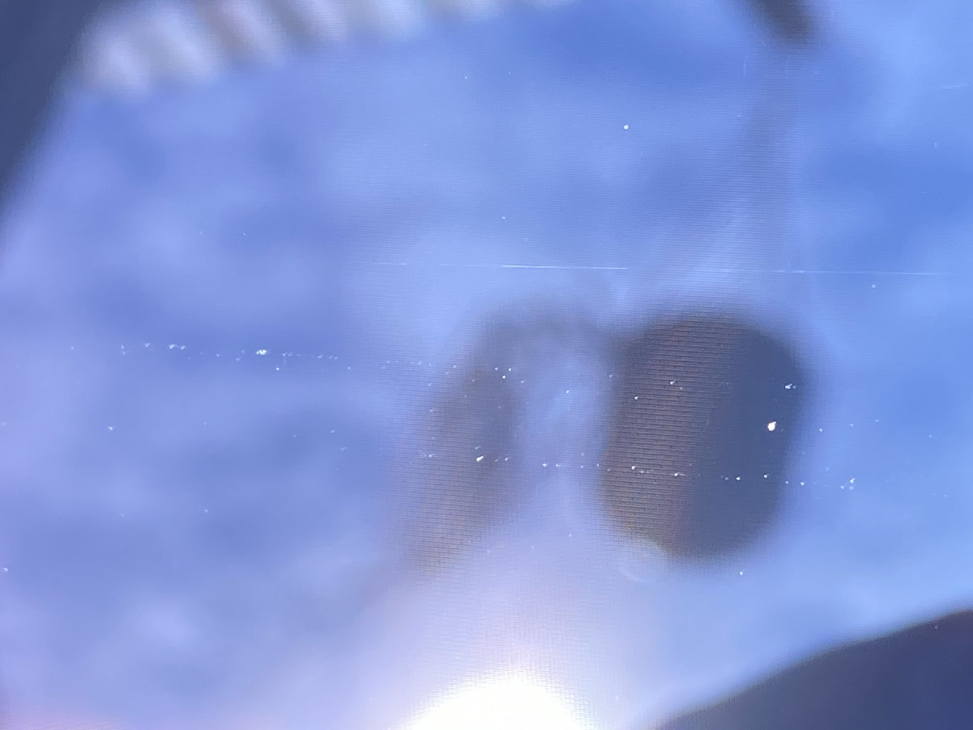 IMG_0461.jpg IMG_0461.jpg