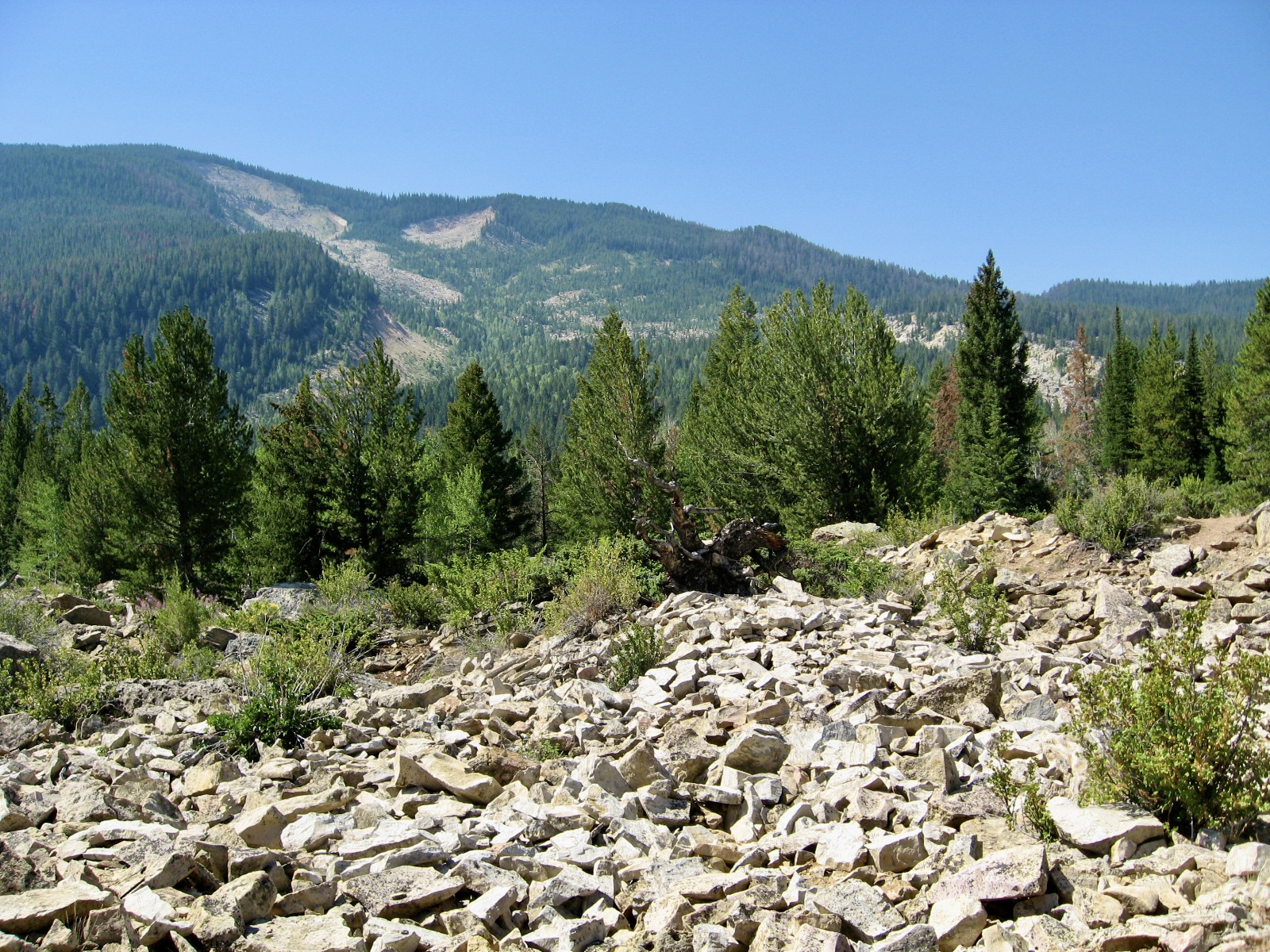 IMG_0515_2.jpg