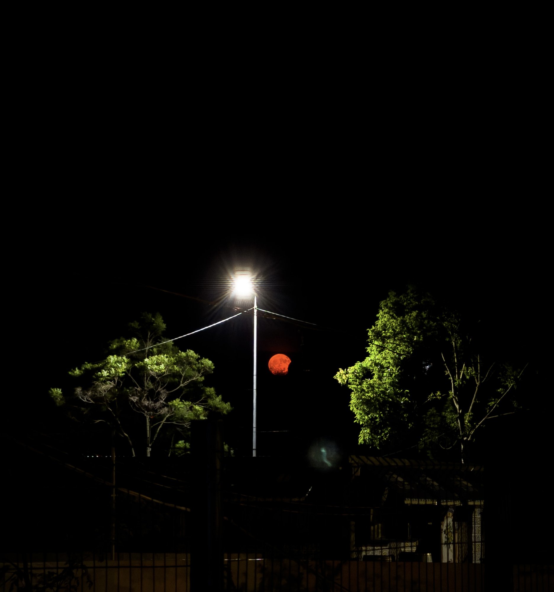 IMG_0531.jpeg