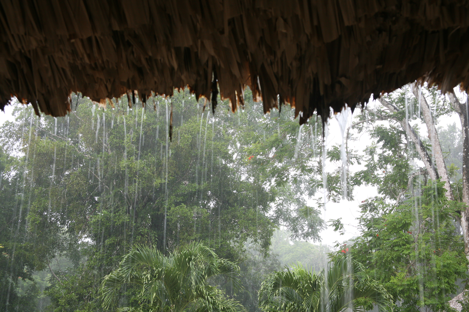 IMG_0584-gigapixelrainyday.jpg