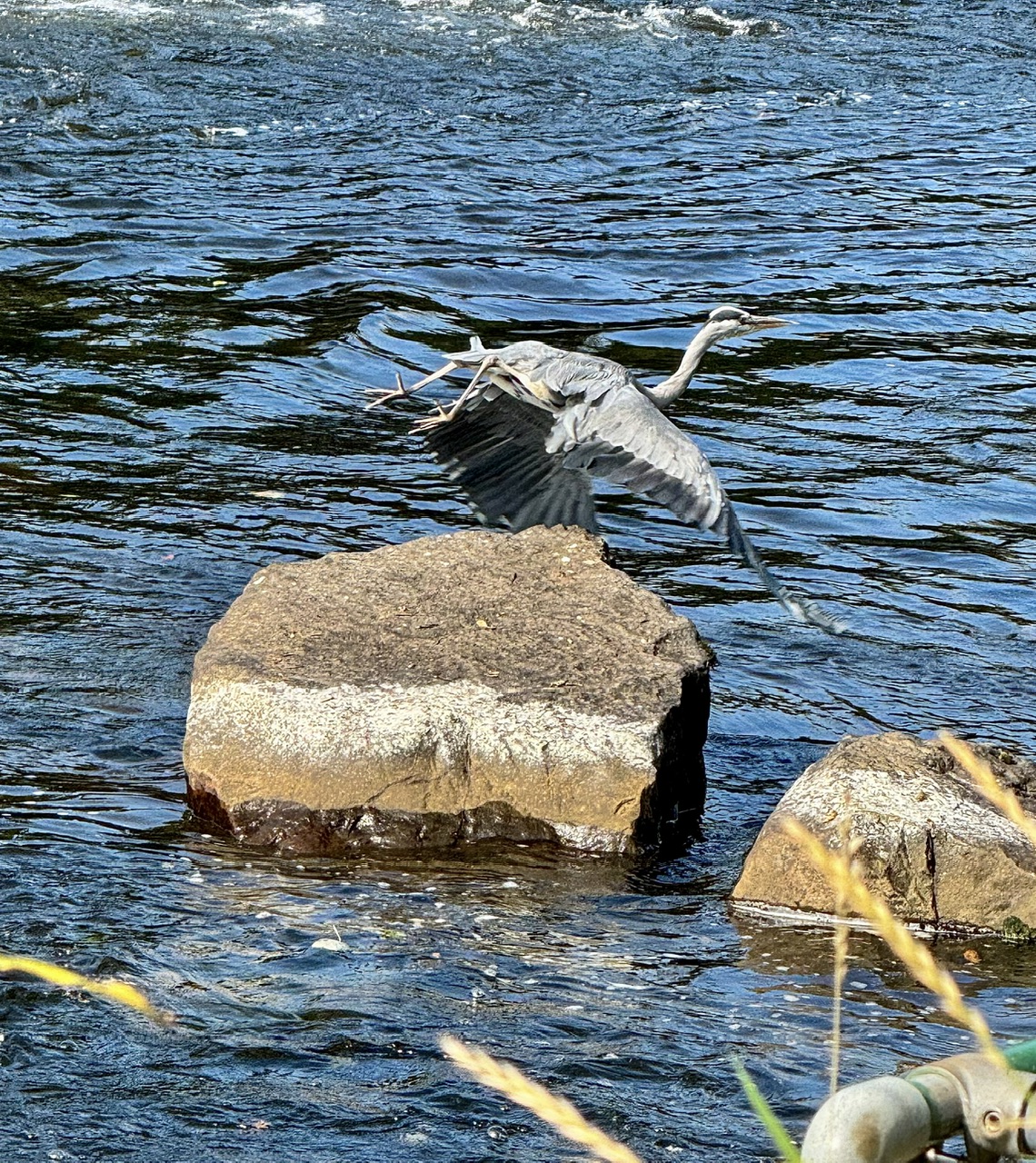 IMG_0669_jpg.jpeg